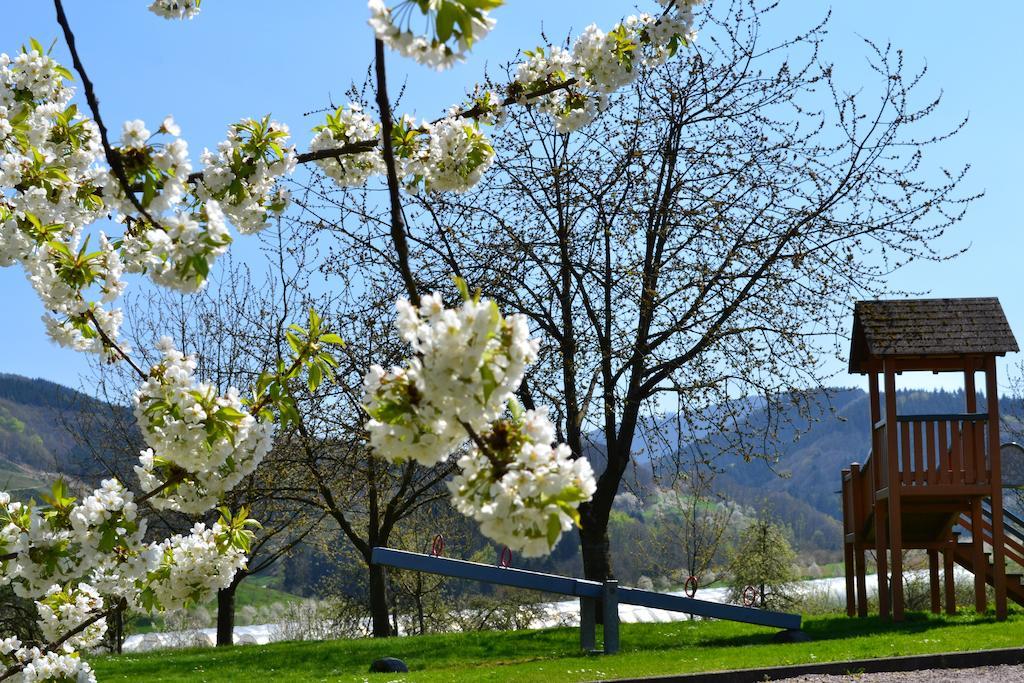 Hotel Die Alm Oberkirch  Bagian luar foto